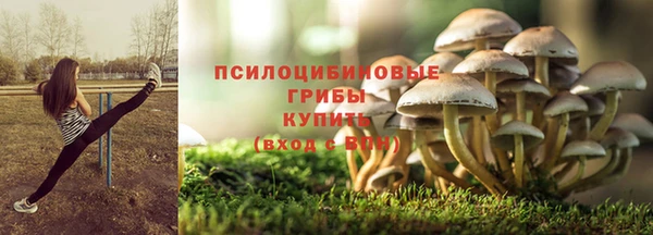 мяу мяу мука Алексин