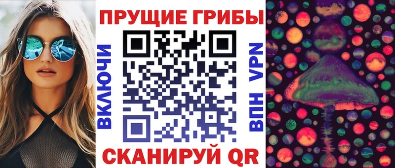 Галлюциногенные грибы Magic Shrooms  сколько стоит  Заозёрный 