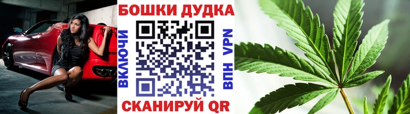 Бошки Шишки THC 21% Заозёрный